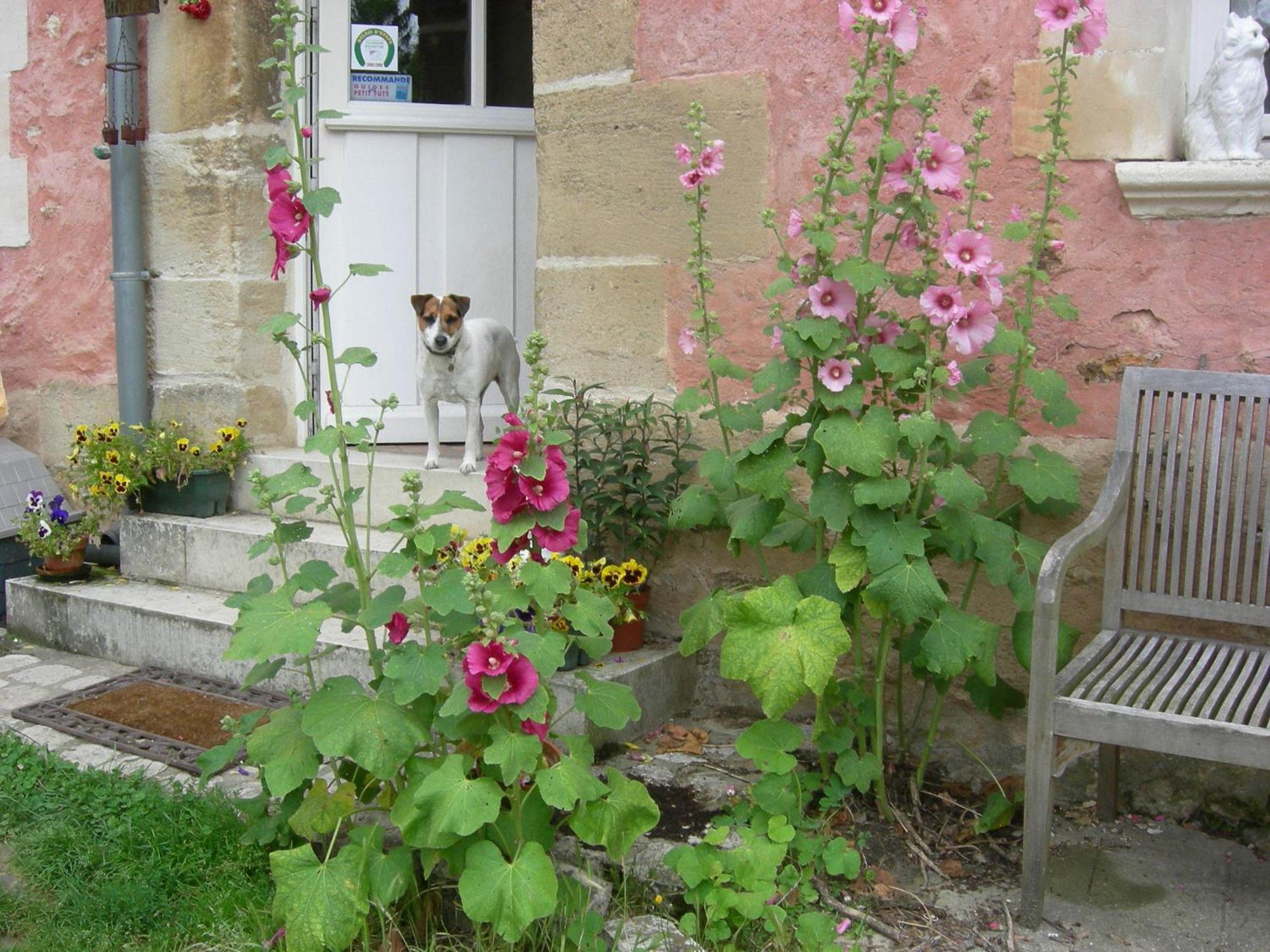 La Ferme Rose Bed & Breakfast Cergy Dış mekan fotoğraf